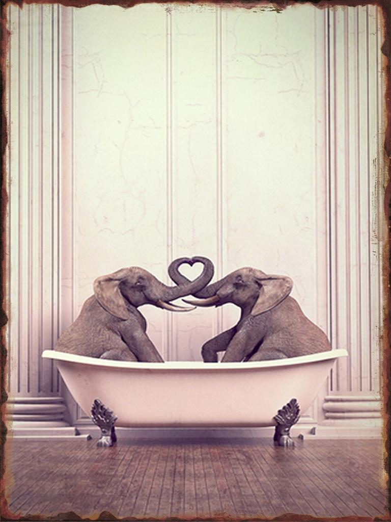 Toilet Animal Funny Metal Tin Signs Home Bathroom Wall Art Decoration Public Lavatory Plaques Restroom Plate Background Poster
