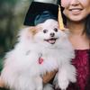 Graduation Hat Pet Accessory Adjustable Pet Graduation Cap For Puppy Kitten Pet Birthday Dress Up Props