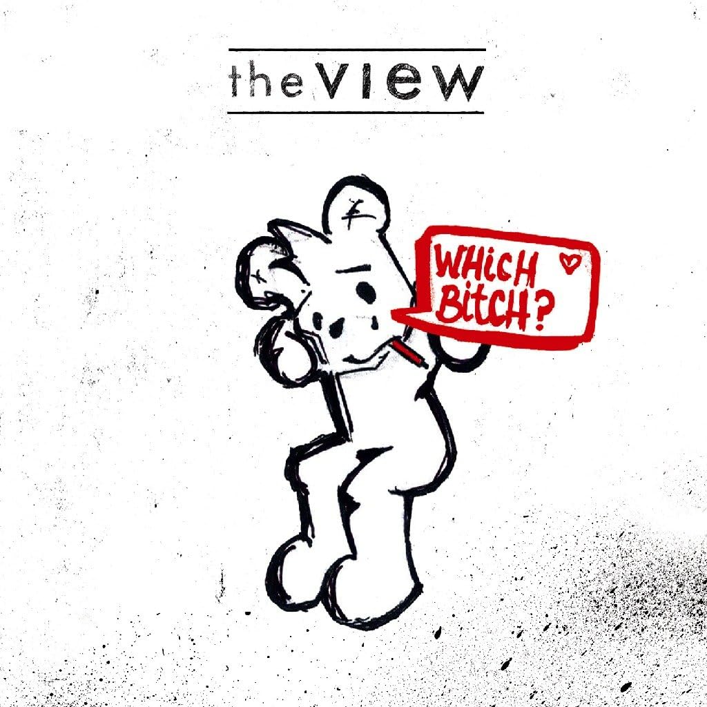 

CD VIEW - Which Bitch BVCP2810910 1965 Records 2009 Japan ObiRock Used