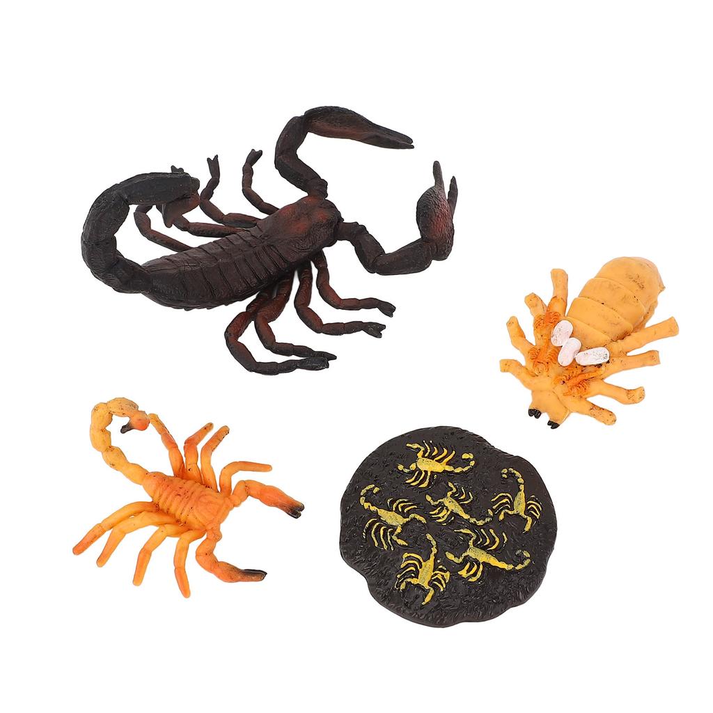 4pcs Simulation Animal Model Scorpion Growth Ornament Children Cognitive Growth Cycle Animal Toys for Children