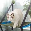Katzenbett Fenster Abnehmbar Waschbar Katzenfensterliege Schaukel Hängematte mit Starken Saugknöpfen für Haustiere Blau