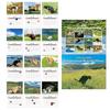 Calendar 2026 Dogs Pooping In Beautiful Places Funny Gag Gifts Thick Paper Wall Calendar Christmas Home Decor Planning Organizer