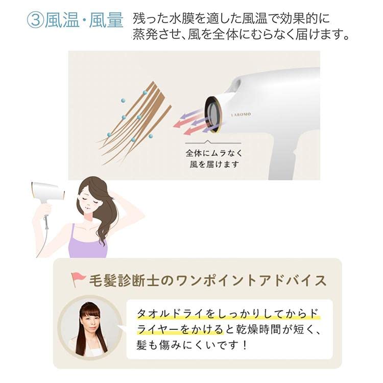 Art Nature LABOMO Moisturizing Hair Dryer, Nanoe, High Penetration, Ion, Mineral Negative Ions, 1200W