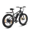SPATIAL Parrot Men’S All-Terrain Electric Bicycle 250W Motor 48V13AH Battery Outdoor Riding Electric Bike 26 Inch Off-Road E-Mountain Bike