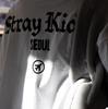 (Předobjednávka) Stray Kids Tričko SEOUL Ver. - SKZOO Všude Kolem Celého Světa