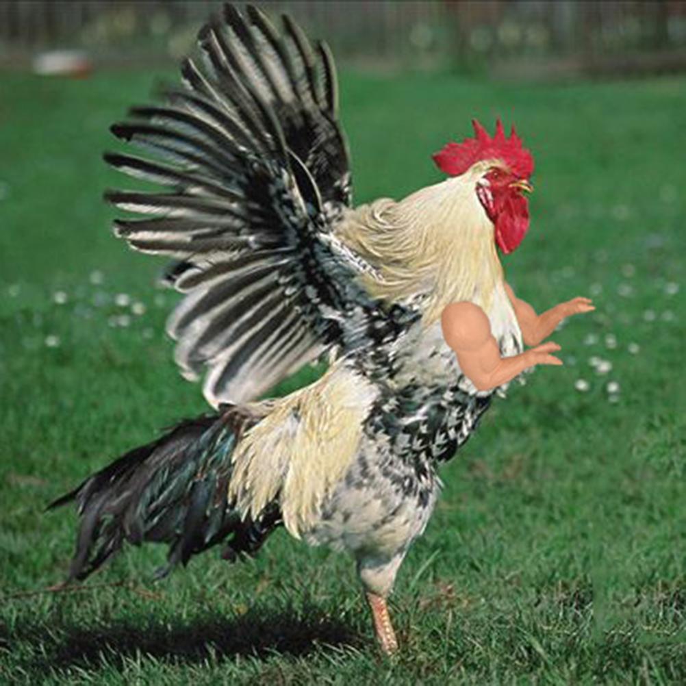 Pet Decoration Chicken Arms Funny Decoration Funny Decorative Toys for Poultry