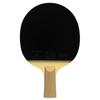 Double Fish 9-Star Professional Table Tennis Racket