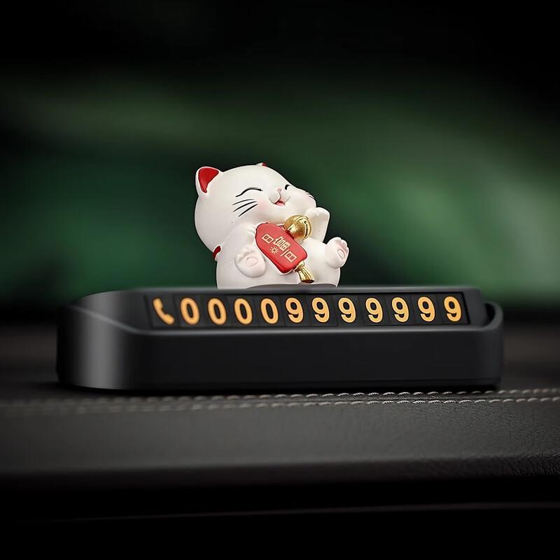 Digalun Lucky Cat Temporary Parking Number Plate
