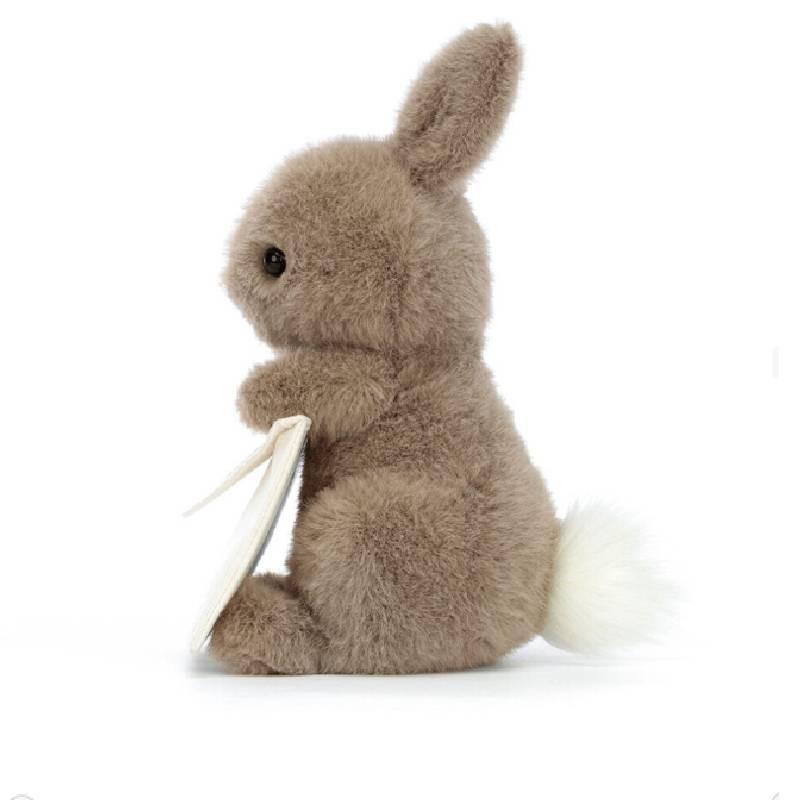 Cute Bunny Envelope Comforting Animal Plush Toy For Valentines Day Birthdays And