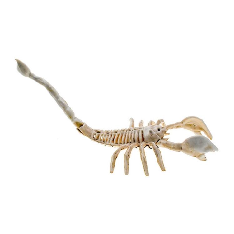 Halloweenowy Szkielet Plastyczny z Ruchomymi Stawami do Dekoracji Cmentarza, Domu Strachów, Wewnątrz i na Zewnątrz