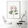 Kitchen Shop Cafe Wall Art s HD2862 Quote Decor Herbs Plants Canvas Prints Coffee Pictures