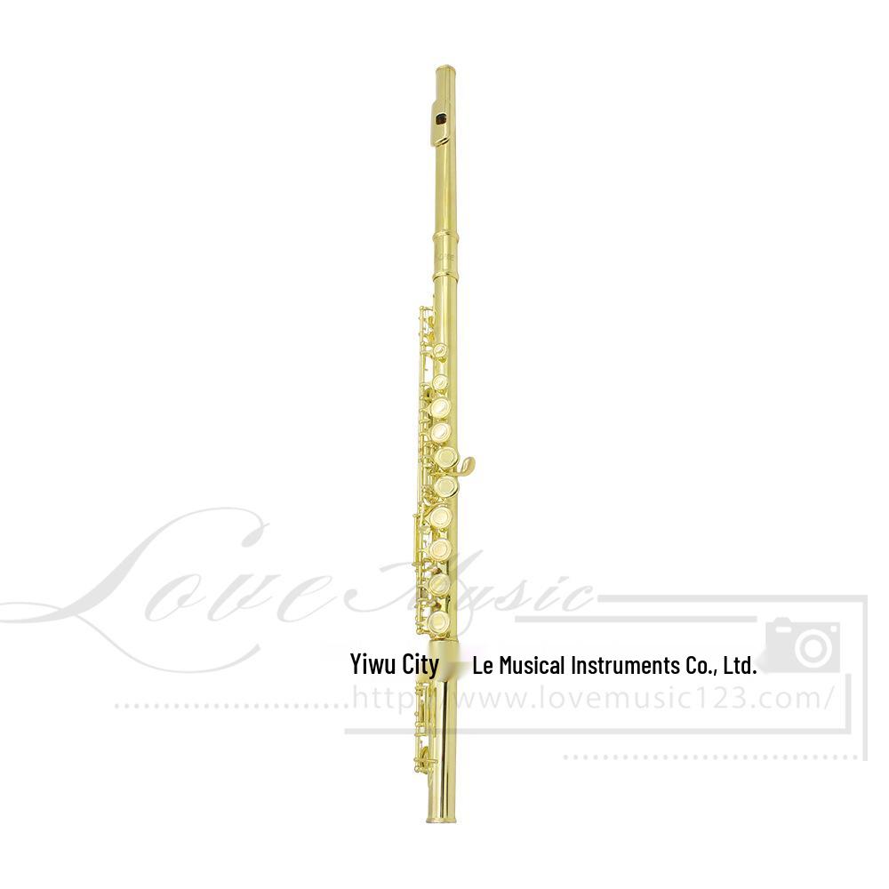 LADE 16-Hole C Key Colored Flute for Children, Students, & Adults - Professional Western Musical Instrument.