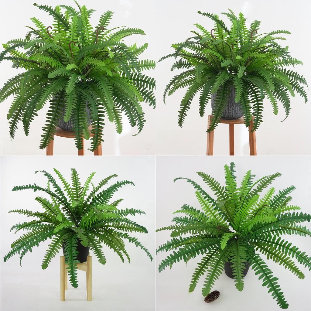 Fake Nephrolepis Cordifolia Plant Wall Decor With Multi Leaf Design For Event Decoration And Interior Use