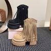 Fashion Women Tassels High Heels 9CM Thick Platform Short Boots Suede Chunky Shoes Woman Autumn Winter Platform Motorcycle Boots Botas