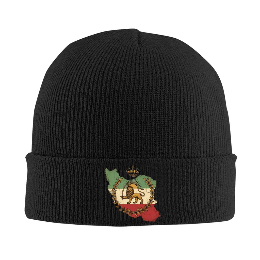 Lion and Sun of Flag Emblem Knitted Caps Women's Men's Beanie Autumn Winter Hats Acrylic  Warm Caps