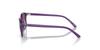 Sunglasses JUNIOR LEONARD RJ9093S [Ray-Ban]