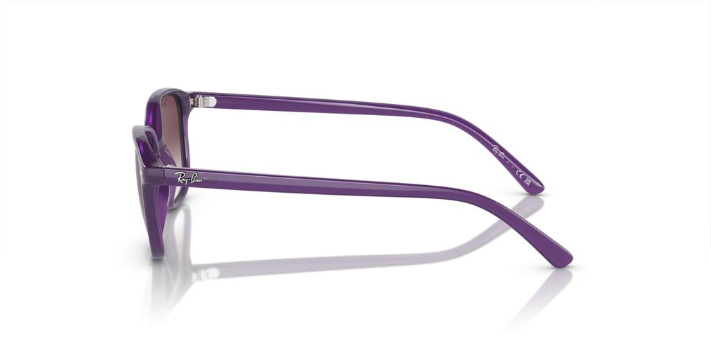 Sunglasses JUNIOR LEONARD RJ9093S [Ray-Ban]