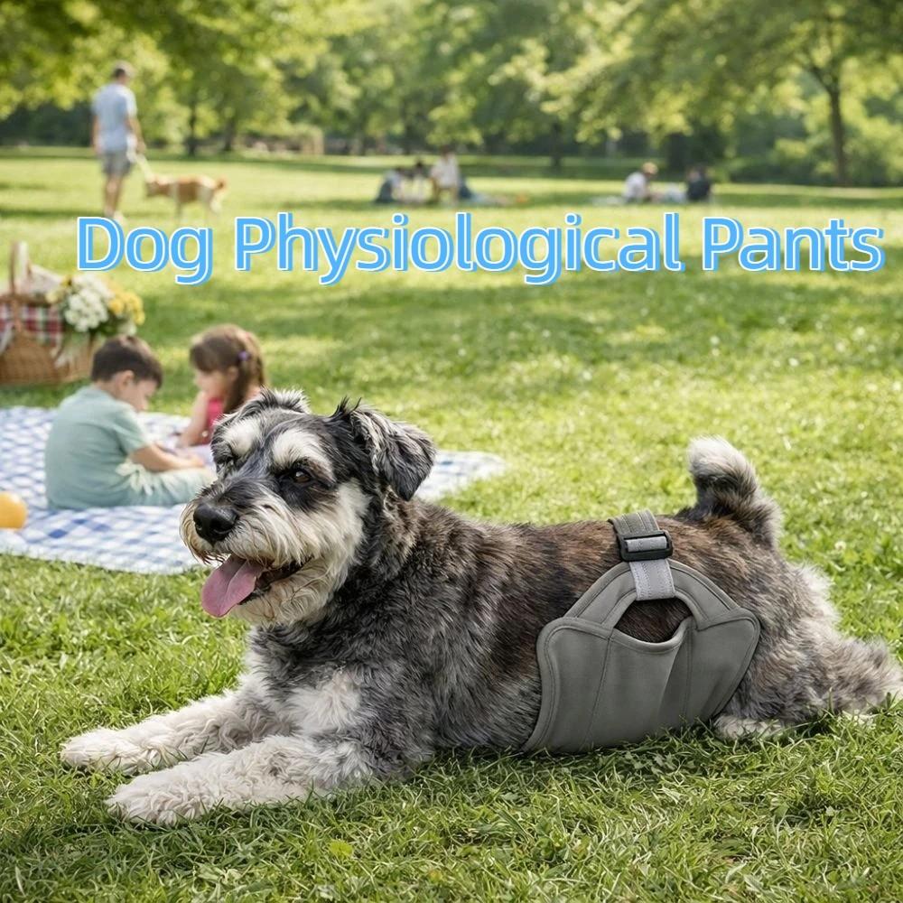 Auslaufsichere physiologische Hose für Rüden, waschbar, atmungsaktiv, Haustier-Hygienehose, wiederverwendbare, verstellbare Hundewindeln für die Läufigkeitsperiode