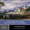Far from the Madding Crowd by Thomas Hardy Paperback Book 9780393954081