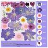 Handmade Pressed Flower Bookmark and Epoxy Sticker Pack with Real Leaf and Plant Specimens for DIY Face Makeup.