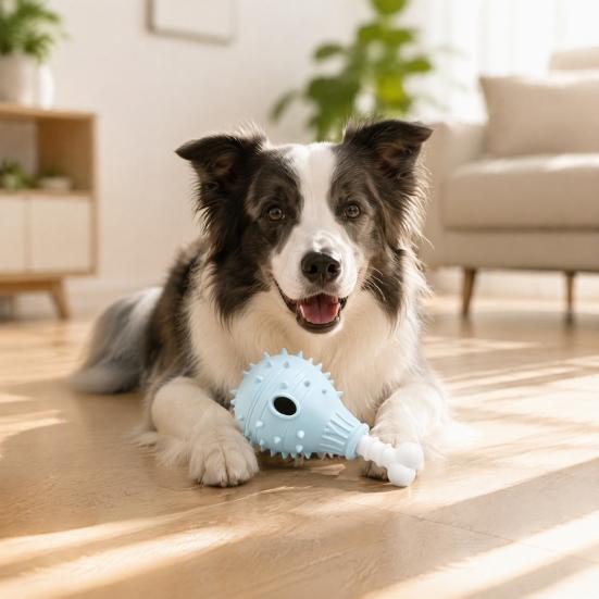 Safe Chewing Toys for Small Medium Large Dogs Dog Treat Dispenser Toy, Spiky Chicken Leg Chew Rubber Interactive Puppy Teething Puzzle Feeder