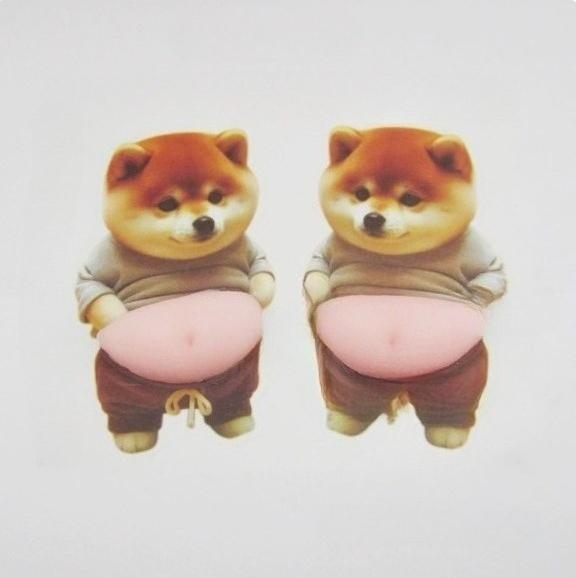 2Pcs Cartoon 3D Shiba Inu Dog Belly Sticker Cute Puppy Sticker Soft Silicone Phone Case Sticker Adult Stress Relief Stickers