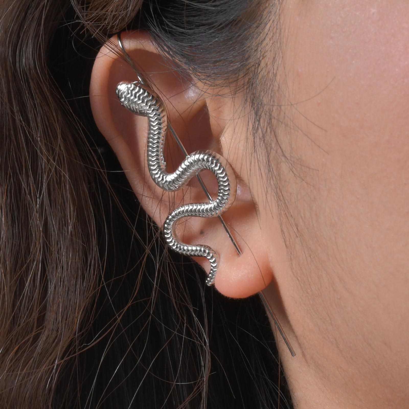 

1Pcs Statement Serpentine Ear Hanging Earrings for Women,Gold/Silver Color Stainless Steel Earrings,2026 Fashion Party Jewelry