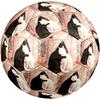 1pc Cats Harmony Theme Soccer Ball Football, Size 5, Lightweight PVC, Durable Outdoor Training Soccer Ball, Gift M61484