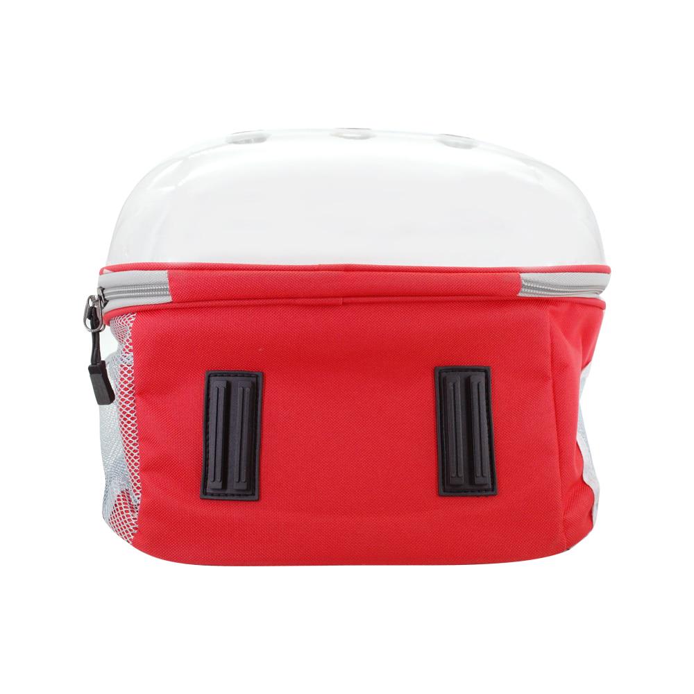 cat backpack and lunchbox