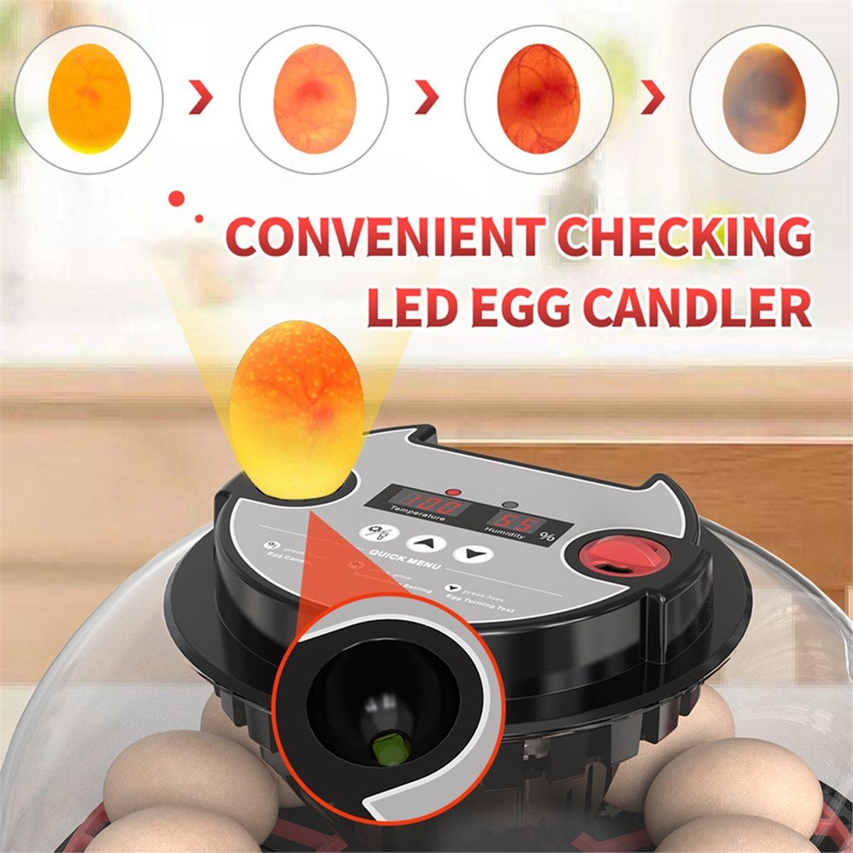 

Flashlight for Automatic 12H Chicken Quail Egg Incubator Temperature and Humidity Display Automatic Egg Turning EU Plug China Mainland