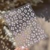 White Flower Petal Cherry Blossom Peach Blossom Falling Petal Floral Gradient 5D Self Adhesive Nail Art Sticker Manicure Decals