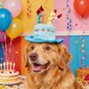 Plush Pet Birthday Cake Hat – Festive Headwear For Dogs & Cats, Perfect For Birthday Parties & Holiday Celebrations