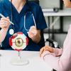 Abnehmbares anatomisches PVC-Augapfelmodell 6-fach vergrößertes menschliches Augapfel-Anatomiemodell für klinische settings und Forschung