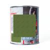 Paint Varnish green RAL 6025 NOPOLUX WILCKENS GRANIT 1 Can