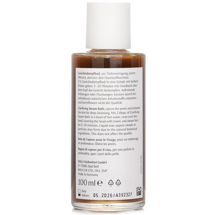 DR. HAUSCHKA Clarifying Steam Bath