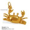 Ocean Element Conch Shell Pendant Accessories Stainless Steel Gold-Plated Beach Wind Accessories