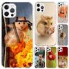 Cute Lovely Pet Hamster Phone Case for Iphone 17 Air 16 15 Plus 14 13 Mini 12 11 Pro Max 16E 7 8 SE 2020 Soft Funda Print Shell