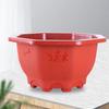 Octangle Flower Pots with Tray Succulent Flowerpot Simple Balcony Plant Pot  Home Garden Decoration