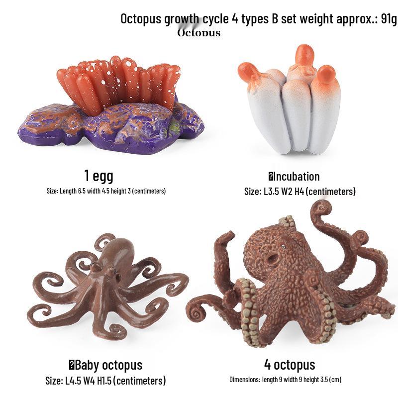 Ocean Wildlife Simulation Toy Set: Sea Turtle, Shark, Whale, Sea Lion, Tiger Shark, Manta Ray, Seal, Grouper.