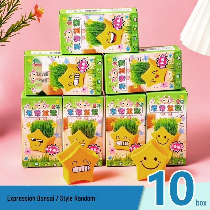 Primary School Reward Gifts: Practical Prizes and Graduation Toys for Grades 1-3 and Kindergarten