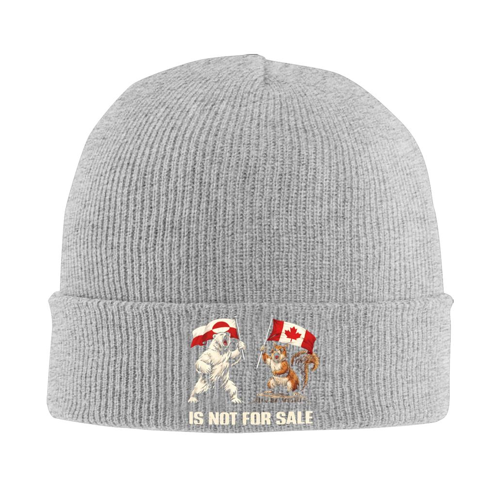 Greenland Is Not For Sale Knitted Hat Street Caps Female Male Kpop Beanie Hats Autumn Graphic Elastic Bonnet Hats