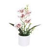 Plastic Bonsai Desktop Ornament Artificial Flower No-fading Butterfly Orchid Multicolor White Flowerpot Fake Butterfly Flower