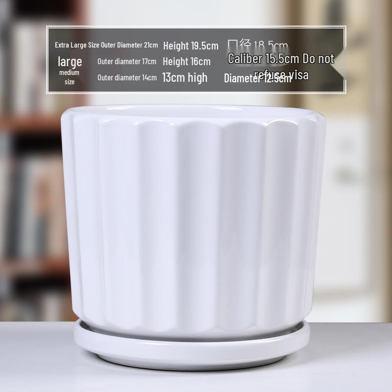 Simple White Ceramic Flower Pot with Base for Indoor Plants - Available in Large and Extra Large