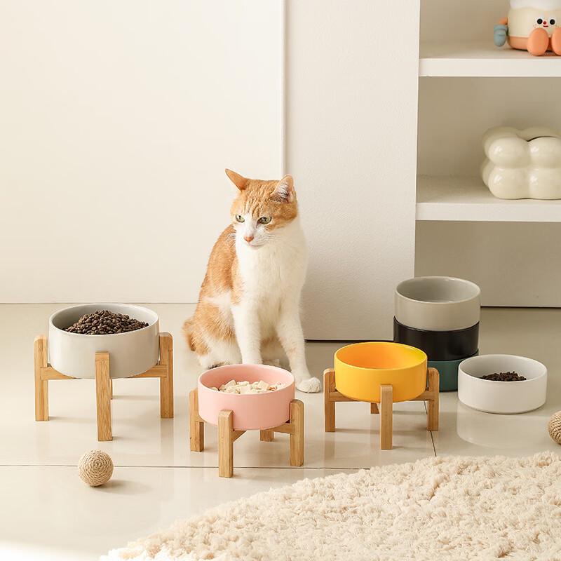 RuHan Elevated Ceramic Pet Bowl