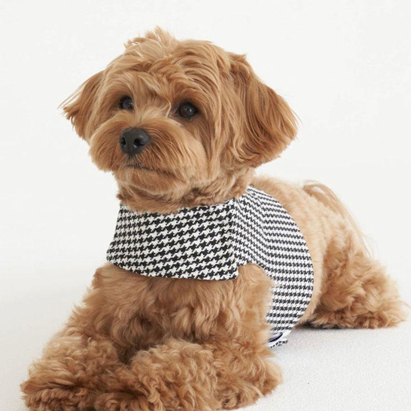 CROOKTHECHIHUAHUA Hundemuster Geschirr - SCHWARZ