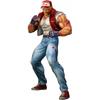 Fatal Fury The King Of Collectors  24 Ex Terry Bogard  Hg Damage Ver. 