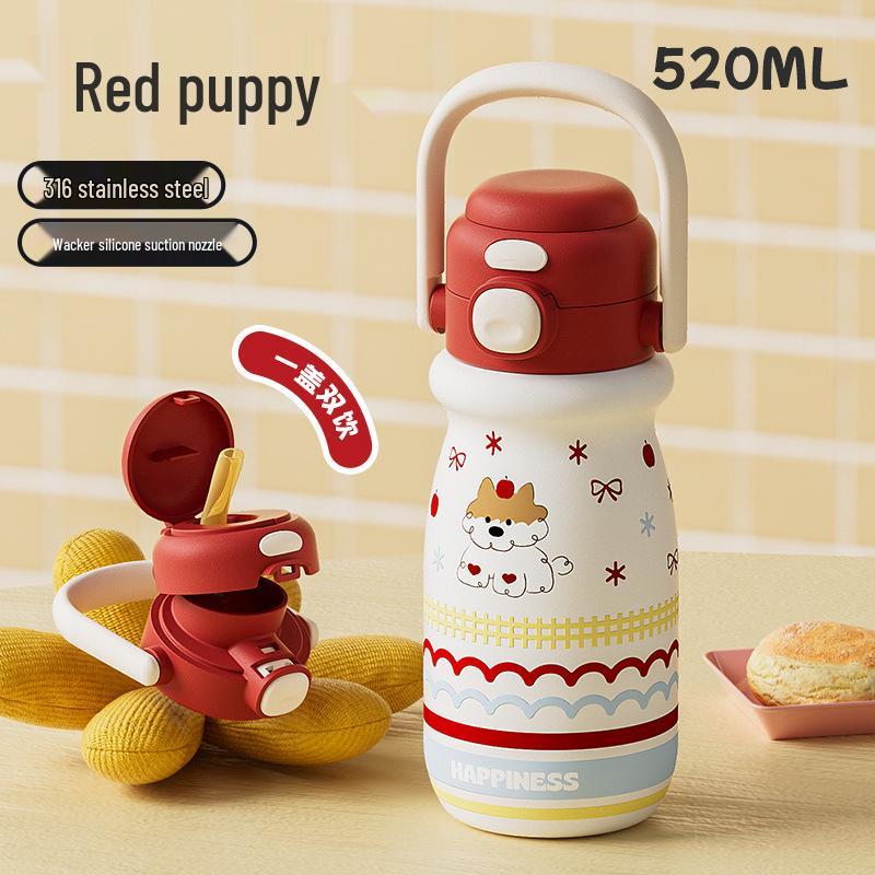 520ml Cute Insulated Straw Cup
