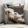 Shih Tzu Plyschkuddfodral 45x45cm Bedårande Sovande Hund Kuddfodral Polyester Blixtlås Thanksgiving & Julklappar