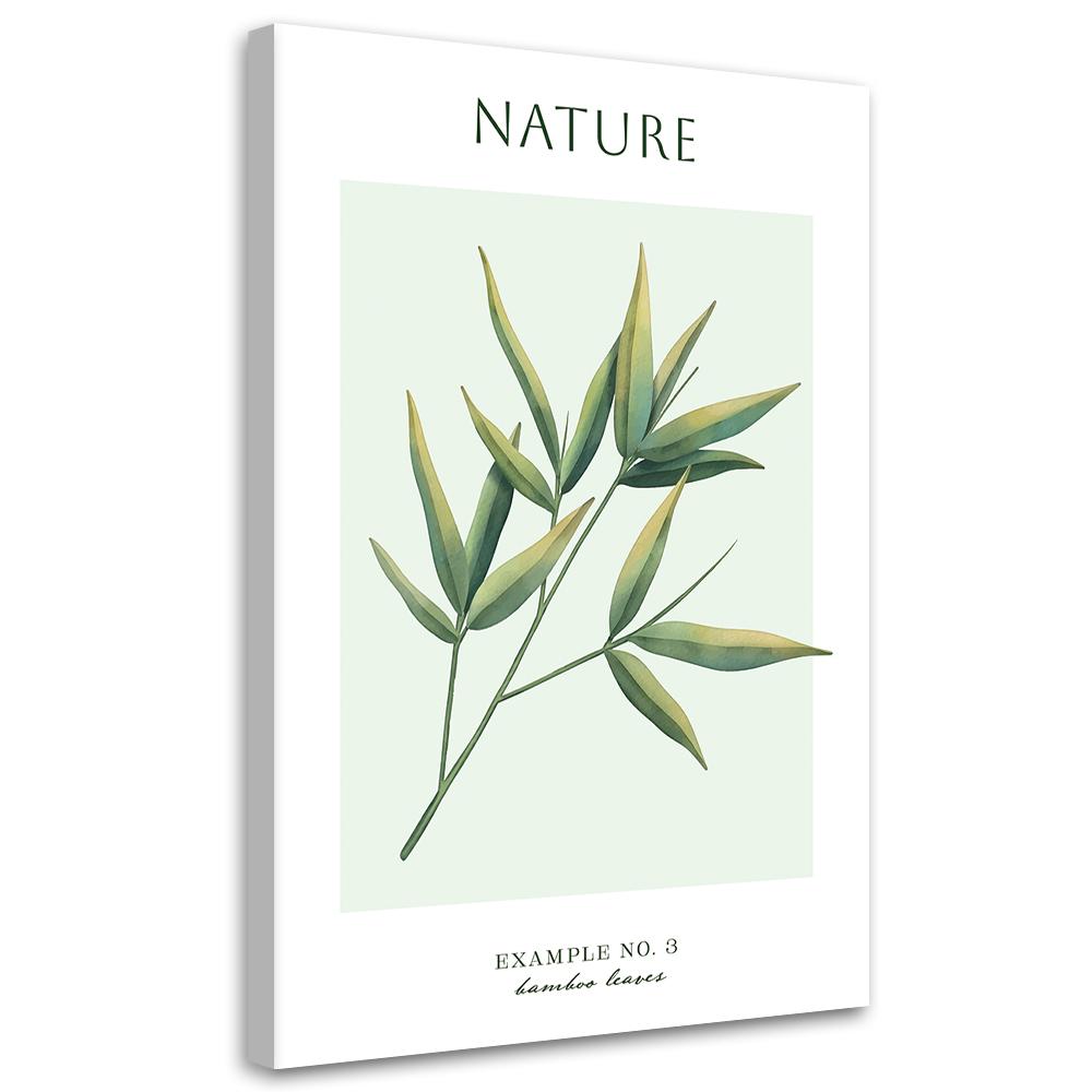 Canvas Print, Bamboo Leaves - Nature