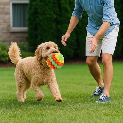 Bite Resistant Dog Elastic Ball Toy High Elastic Colorful Pet Chewing Toy TPR Dog Tooth Cleaning Toy Teeth Grinding
